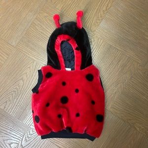 Ladybug costume